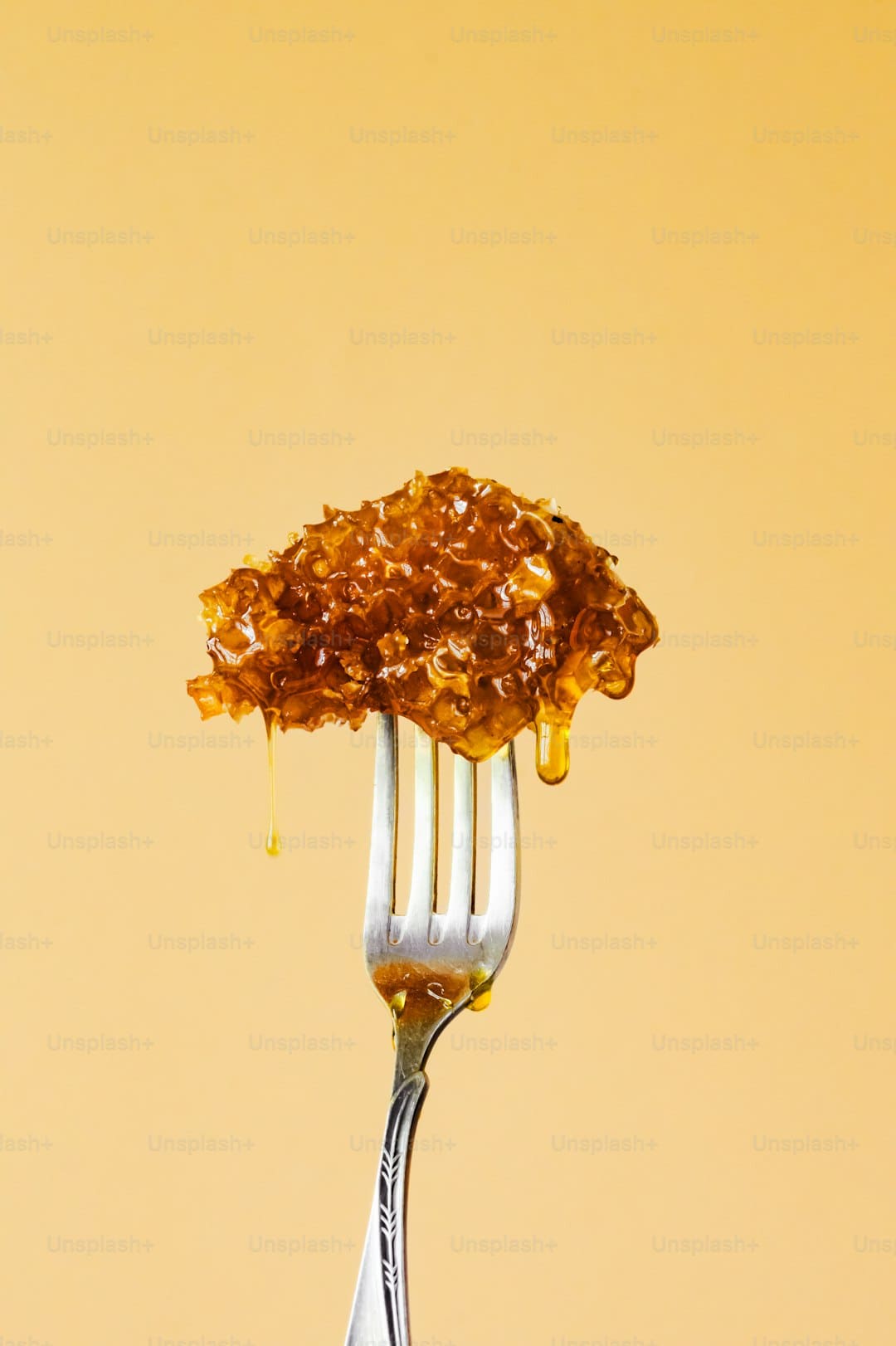古城炮仗花开 点燃泉州春意（图）
